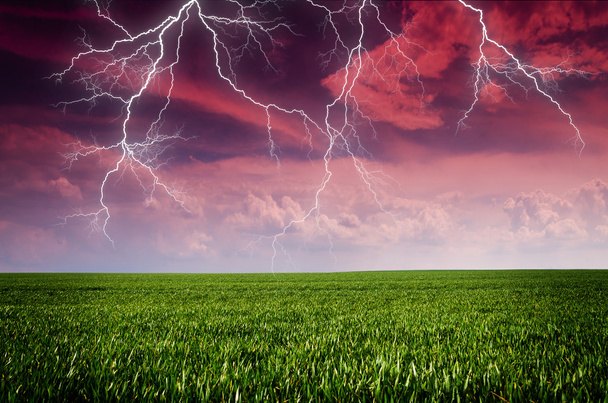 緑の草原の雷と雷雨 - 写真・画像