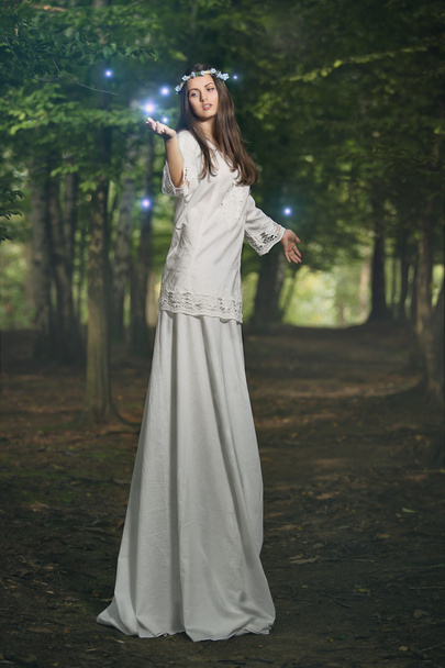 Fairy vrouw in magische woud  - Foto, afbeelding