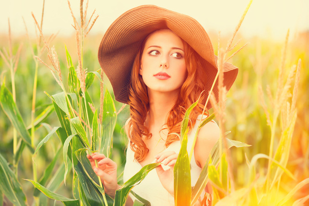 Redhead girl in corn field - Photo, Image
