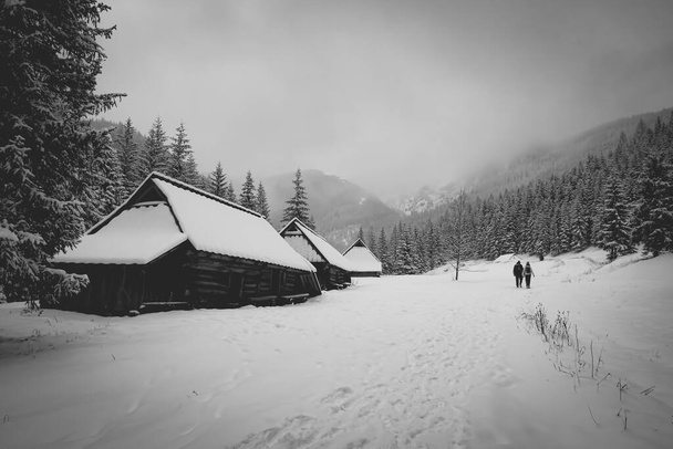 A beautiful grayscale view of winter and snow-capped mountains and houses - Фото, изображение