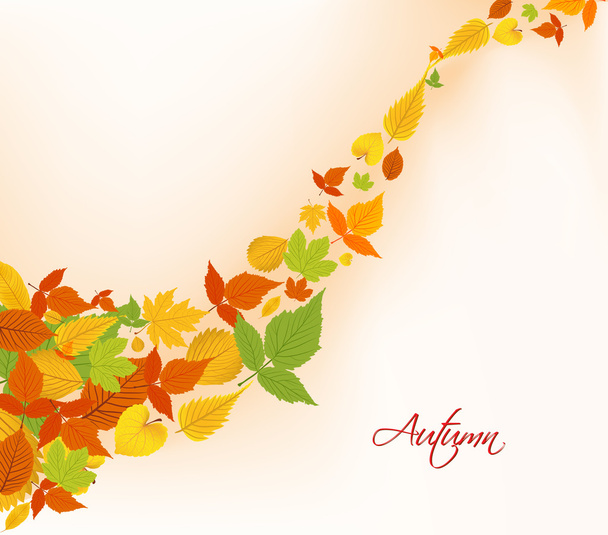 Autumn fall leaves background - Vetor, Imagem