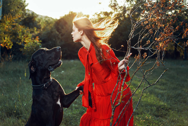 cute woman in red dress playing with dog outdoors friendship - 写真・画像
