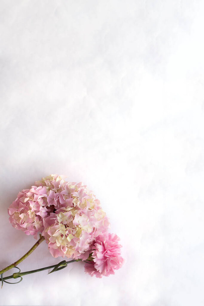 Hydrangea and pink carnation on a white vertical background. Layout, flat lay, copy space, top view. Flower composition. - Fotoğraf, Görsel