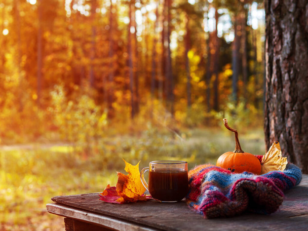Venkovní rekreace v říjnu. Pijte horkou kávu v poháru na dřevěném stole na pozadí barevného podzimního lesa. Romantika a užívat si života - Fotografie, Obrázek