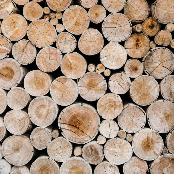 wood logs for industry - Photo, Image