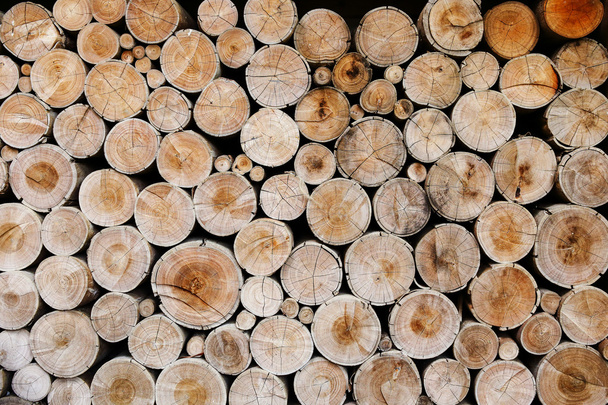 wood logs for industry - Photo, Image