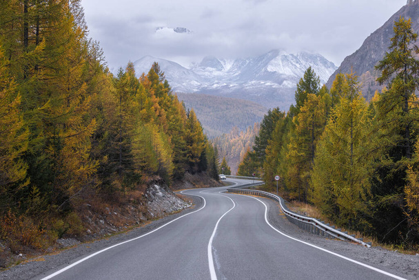 A road in a mountain valley surrounded by a forest of larch and fir trees against the backdrop of a mountain range in autumn. A car is driving in the foreground. - Valokuva, kuva
