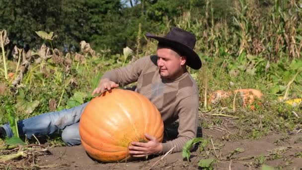 Big harvest of pumpkins. Happy rural farmer is photographed near pumpkins.  - Footage, Video