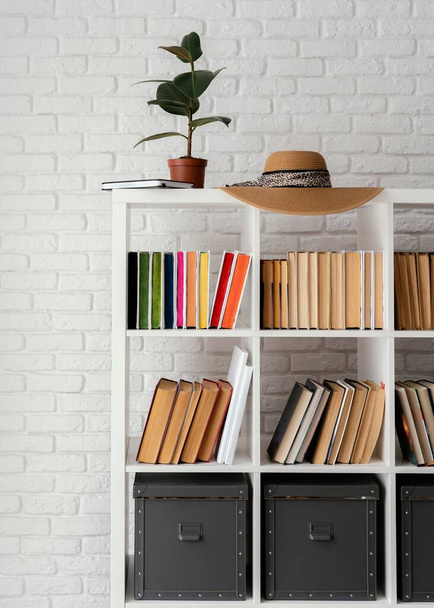 bookshelf with plant hat. High quality photo - Photo, image