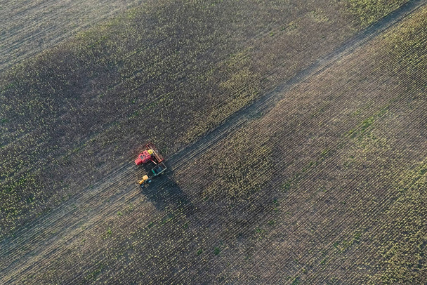 Αεροφωτογραφία συγκομιδής κριθαριού, στη La Pampa, Αργεντινή. - Φωτογραφία, εικόνα