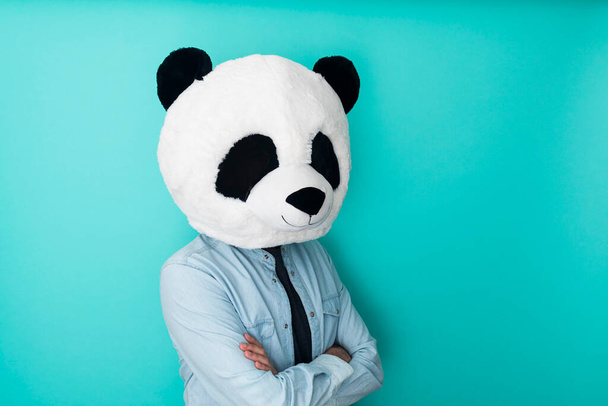 Mężczyzna w masce panda stoi na kolorowym tle - Zdjęcie, obraz