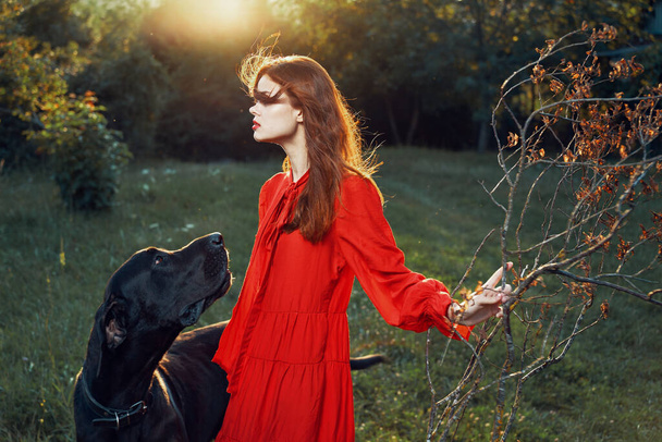 fashion attractive woman in black purebred dog outdoors - Photo, Image