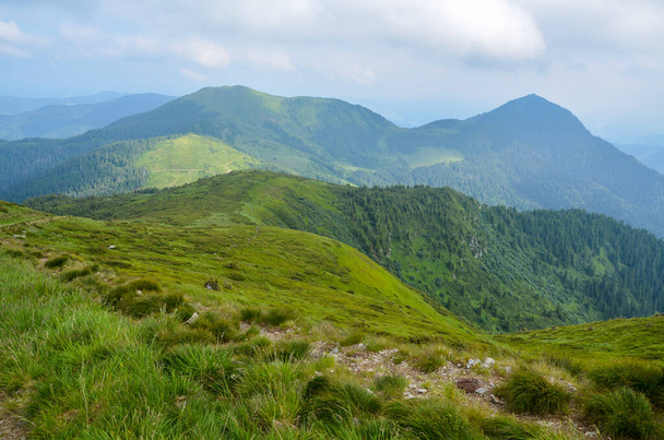 Trilha de caminhada leva ao longo dos prados alpinos verdes para o topo na manhã nublada. Marmarosy região, Carpathian Mountains, Ucrânia - Foto, Imagem