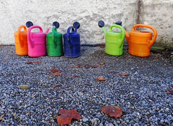 Seis coloridas latas de riego se colocan en fila en el suelo en otoño - Foto, imagen