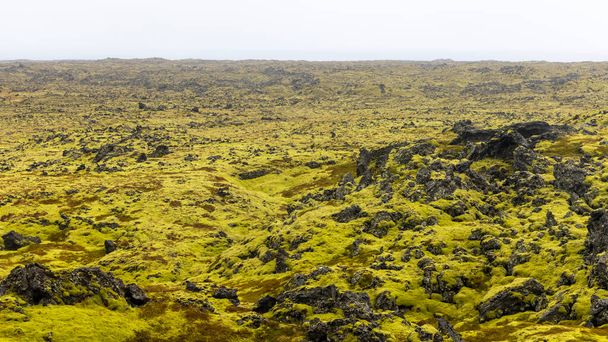 Lavafelder in Island mit sattgrünem Moos bedeckt - Foto, Bild