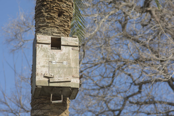 Door de mens gemaakt vogelhuisje, gemonteerd op een stam van een palmboom - Foto, afbeelding