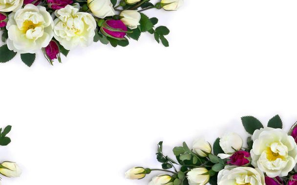 Blumen rosa und weiße Rosen mit Blättern auf weißem Hintergrund mit Platz für Text. Draufsicht, flache Lage - Foto, Bild