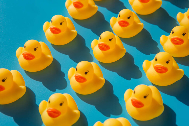 yellow rubber ducks on a blue background with hard shadows - Photo, Image