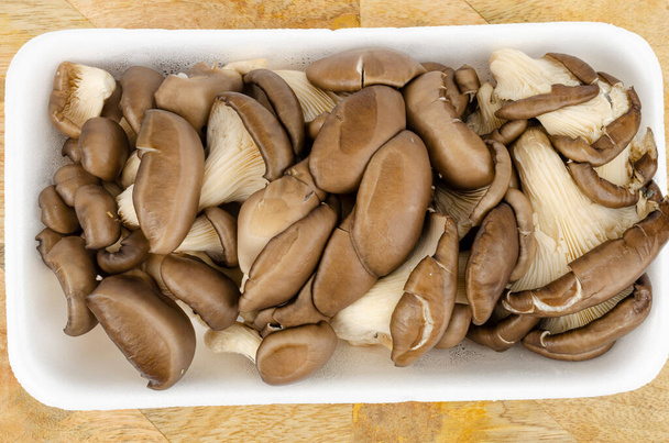 Fresh gray cultured oyster mushrooms for culinary. Studio Photo. - Photo, Image