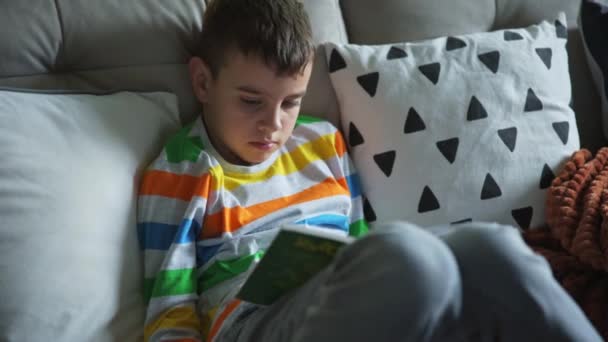 Kind jongen lezen boek op de bank thuis - Video