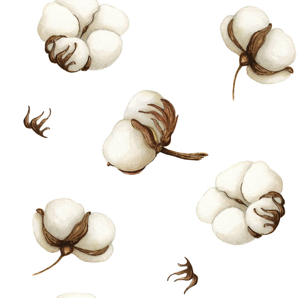 Watercolor Cotton Softness seamless pattern on white background. Botanical Aquarelle wild flower for background, texture, card, frame - Fotoğraf, Görsel
