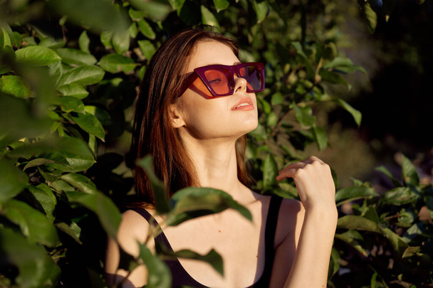 pretty woman wearing sunglasses green leaves glamor posing summer - Fotoğraf, Görsel