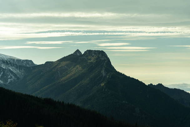 красивые горные долины, заросшие зеленью, невероятной дикой природой - Фото, изображение