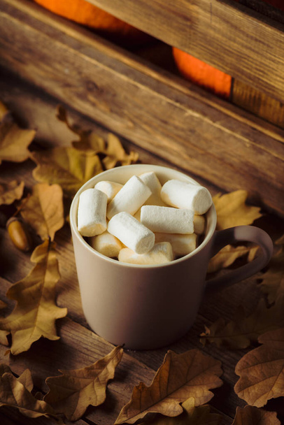 Cup of hot chocolate with marshmallow and dry oak leaves. Selective focus. Autumn mood. - Valokuva, kuva