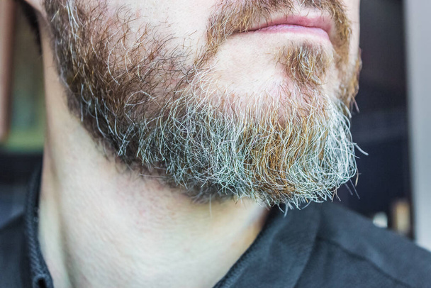Close up picture of senior mans beard with grey hairs on chin - Zdjęcie, obraz