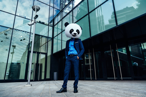 Storytelling image of a business man wearing a giant panda head - Fotografie, Obrázek
