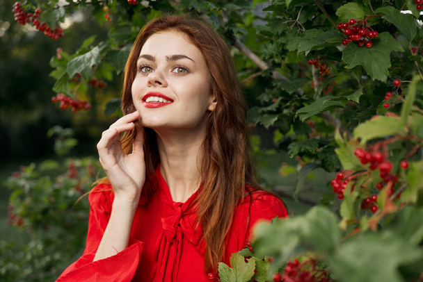 pretty woman in red dress glamor posing nature - Foto, imagen
