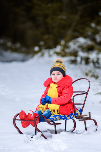 Klein meisje in heldere kleren zittend op een slee op een achtergrond van winterbos.nieuw - Foto, afbeelding