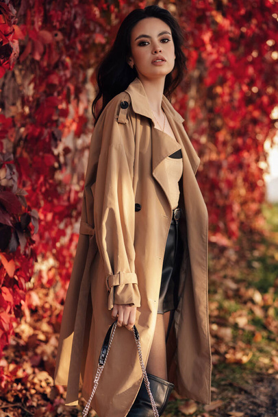модна зовнішня фотографія красивої жінки з темним волоссям в елегантному одязі, позує в осінньому парку
 - Фото, зображення