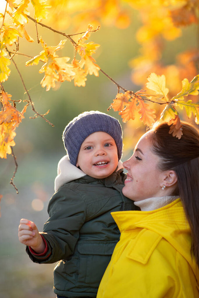 boy with mom in autumn in the leaves - Фото, изображение