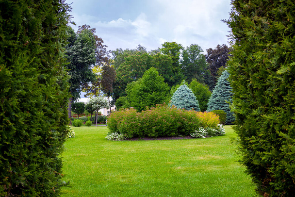 landscape desing of a park with a garden bed and trees with leaves and pine needles on a green lawn, evergreen and seasonal plants in the backyard look through thuja border. - Photo, image