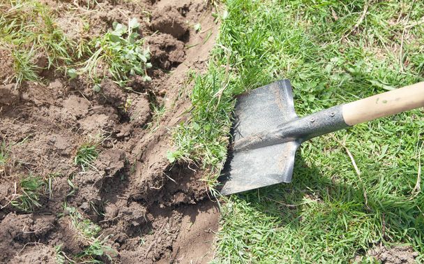 Shovel in soil in the garden.  - Fotó, kép