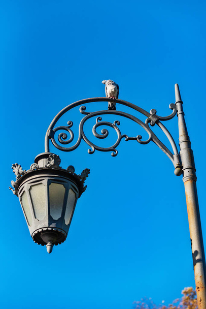 Street lamps and bird pigeon on a blue sky background - Photo, Image