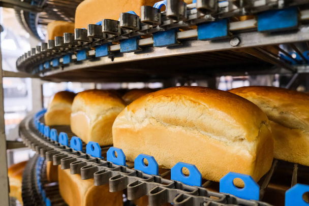 Chleby w piekarni na zautomatyzowanym przenośniku taśmowym. Produkcja chleba. Przemysł spożywczy - Zdjęcie, obraz