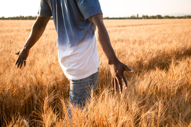 Young farmer standing in the middle of the field - Foto, Imagem