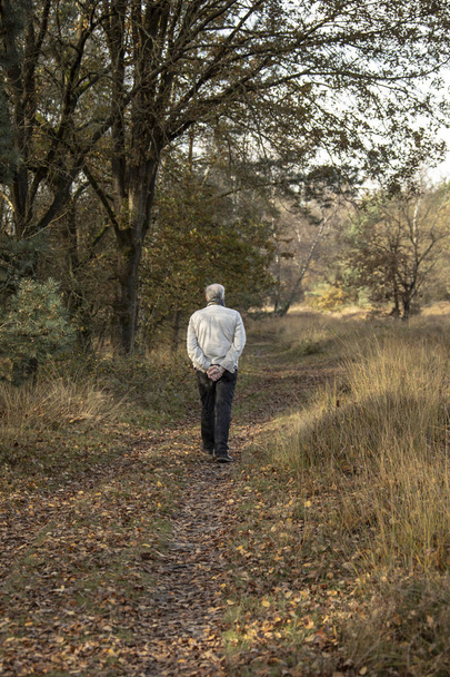 公園を歩く高齢者の背中、高齢者や定年退職者の健康のためのウォーキング演習への概念. - 写真・画像