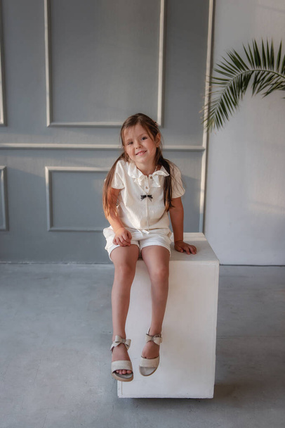 A little girl sits on a cube in a white suit, with her hair down. Fashion child posing in a model school on a gray background with a green palm tree - Valokuva, kuva