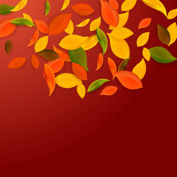 Falling autumn leaves. Red, yellow, green, brown chaotic leaves flying. Semicircle colorful foliage on breathtaking red background. Brilliant back to school sale. - Vector, Image