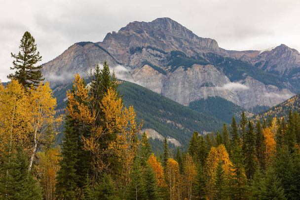 Mountain scenery in Banff National Parks Alberta Canada. Autumn landscape of a mountains and forest. Travel photo, selective focus, nobody, concept photo nature - Фото, изображение