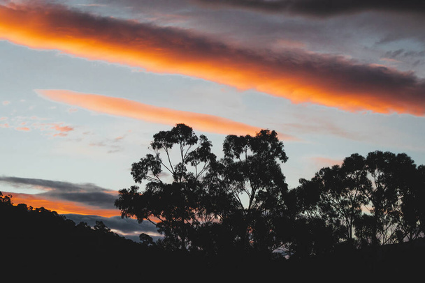 pink and orange sunset clouds formation over the mountains with eucalyptus gum trees in the foreground shot in Tasmania, Australia - Photo, Image