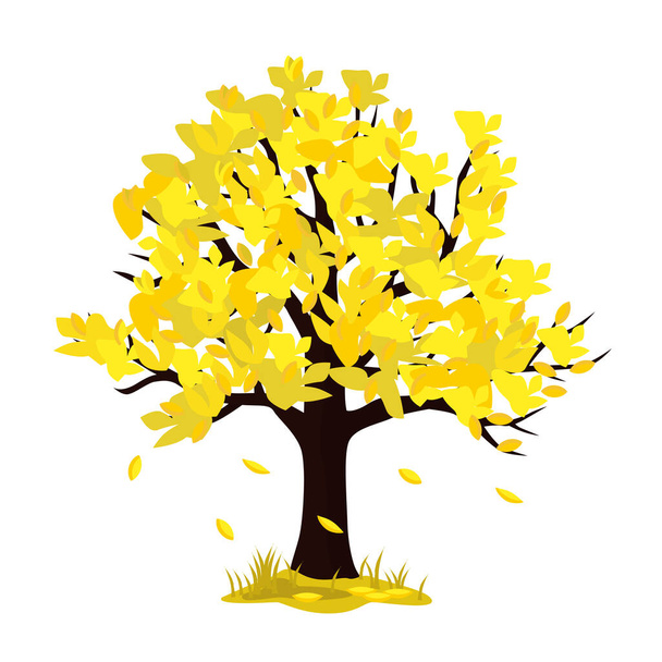 Vector illustration of a tree in the autumn isolated on a white background. - Vektor, kép