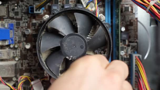 padrone irriconoscibile pulisce un ventilatore di un computer polveroso smontato con un batuffolo di cotone, primo piano - Filmati, video