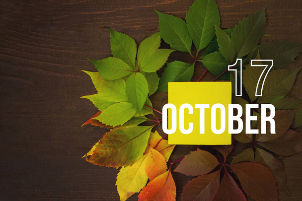 17 октября. День 17 месяца, дата календаря. Осенние листья переходят от зеленого к красному с календарным днем на желтом квадрате, на деревянном фоне. Осенний месяц, день года - Фото, изображение