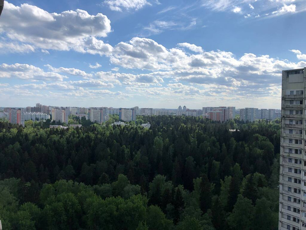 view of the forest in the city, summer, sunny day - Photo, Image