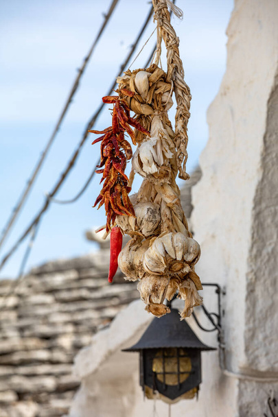 bunch of white garlic and chilli papper hanging to dry. - Photo, Image