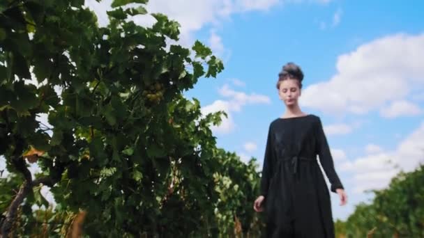 ドレッドロックを持つ若い女性がブドウ畑を歩く-白ブドウからリップ - 映像、動画